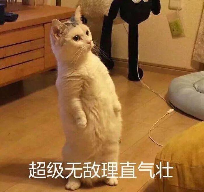 附近维修电动车电话_电动附近维修车电话多少_附近的电车修理电话